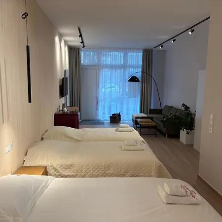 Allegra 海因斯贝格