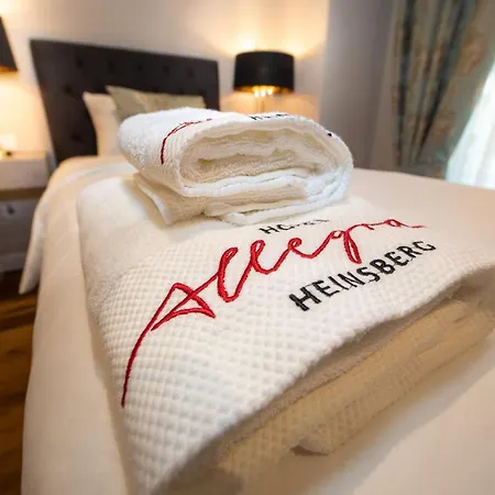 酒店 Allegra 海因斯贝格