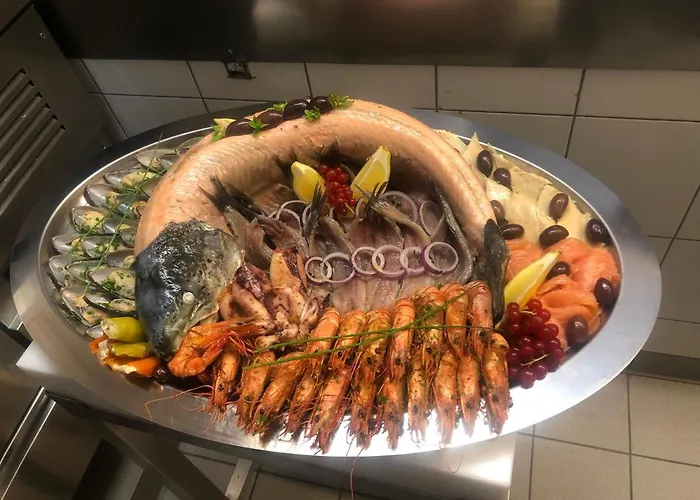 Allegra 海因斯贝格