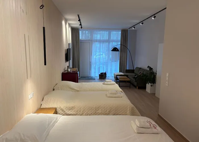 Allegra 海因斯贝格